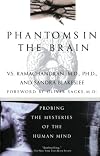 Phantoms in the Brain