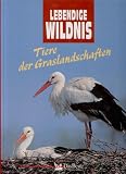 Lebendige Wildnis. Tiere der Graslandschaften. Termiten, Wildhunde, Gnus, Webervögel, Gabelböcke, Nasenbären, Störche, Pekaris.