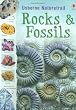 Rocks, Minerals and Fossils (Usborne Nature Trail)
