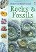 Rocks, Minerals and Fossils (Usborne Nature Trail)
