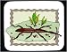 Decorated Mouse Pad with bug, weevil, thin, insect, beetle