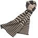 MIR Men's 100% Cashmere Thin Stripe Scarf, Charcoal/Nude, One Size