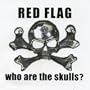 Who Are the Skulls