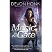 Magic at the Gate: An Allie Beckstrom Novel