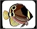 Mouse Pad with aquatic, angelfish, animal, fish