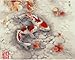 Diy oil painting, paint by number kit- Koi 16x20 inch