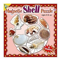 Mini Magnetic Shell Puzzle