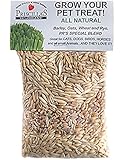 Priscillas Kitty Cat Pet Grass Seed Refill Pack (Barley, Oats, Wheat and Rye) 6 oz