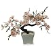 Glass Bonsai Flower Tree