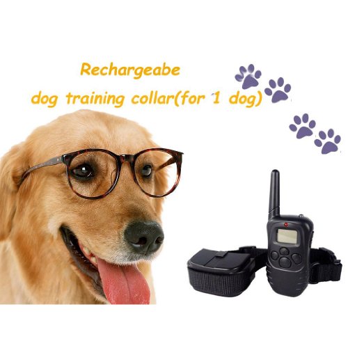 Remote Control Dog Training Transmitter & Rechargeable 