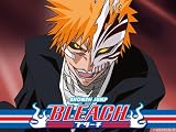 Bleach: Season 8