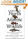 A Field Guide to North Atlantic Wildlife: Marine Mammals, Seabirds, Fish, and Other Sea Life