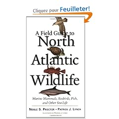 A Field Guide To North Atlantic Wildlife: Marine Mammals, Seabirds, Fish, And Other Sea Life