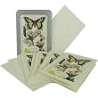 Natural History Butterfly Cavallini Boxed Cards and Envelopes, Set of 10 with Vintage Look