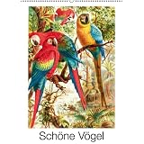 Sch�ne V�gel (Wandkalender 2013 DIN A4 hoch)von "francisco cereal"
