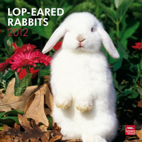 Lop-Eared Rabbits 2012 Square 12X12 Wall Calendar 
