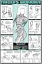 Co-ed Triceps Workout 24" X 36" Laminated Chart