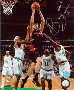 Autographed Andrea Bargnani Photograph - Toronto Raptors 8x10 - Autographed NBA Photos
