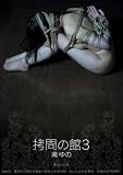 拷問の館3 南ゆの [DVD]