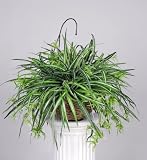 Artificial Spider Plant Hanging Basket