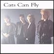 Flippin' to the 'A' side / Vinyl Maxi Single [Vinyl 12'']