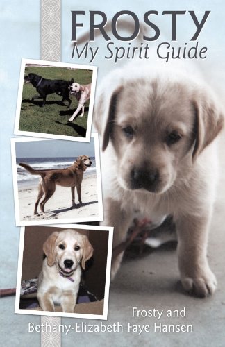 frosty my spirit guide how changing our perceptions of death can bring us more love joy happiness and life