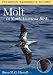 Molt in North American Birds