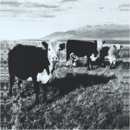 Mark Kozelek - Celebrated Summer Lyrics - Zortam Music