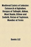 Medieval Saints of Leinster: Cainnech of Aghaboe, Engus of Tallaght, Abbn, Mel Ruain, Eithne and Sodelb, Fintn of Taghmon, Medc of Ferns-