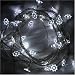 Fairy Lights - White LED Sunflower Lights 40 Bulb Indoor