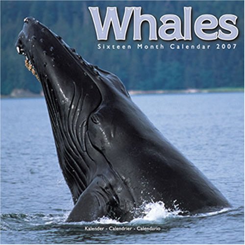 Whales 2007 Wall Calendar