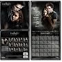 Twilight 16-month Calendar 2010