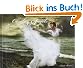 Zeitlose Engel: Obsolete Angels: Steampunk und Dark Fantasy