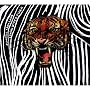 Living with a Tiger
