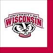 University of Wisconsin Badgers Cocktail Napkins University of Wisconsin Badgers Cocktail Napkins