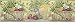 Club Pack of 12 Rolls French Country Vegetables Wallpaper Border 9 #HP70174B