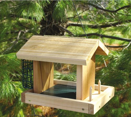 Songbird Essentials SESC6005C Seed Bird Feeder
