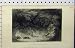 1841 FOX HUNTING DOGS HORSE HOUNDS COUNTRY SCENE MAN