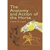 The Anatomy and Action of the Horsepar Lowes Dalbiac Luard