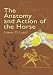 The Anatomy and Action of the Horse (Dover Anatomy for Artists)