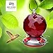 Best Home Products Hummingbird Feeder, Blown Glass, Candy Apple, 24 ounces