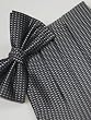 Freedom "Asphalt" Silk Woven Tuxedo Bowtie and Cummerbund Set