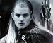Lord of the Rings Legolas Movie Portrait 8x10 Glossy Photo Print Poster RARE