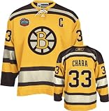 Zdeno Chara 2010 Winter Classic Reebok NHL Boston Bruins Premier Jersey