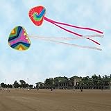 Zirrly's Tint N' Color Foldable Kite + Foldable Frisbee DIY Craft Kit