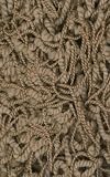 Dalyn Rug Company Casual Elegance 099 - Chocolate