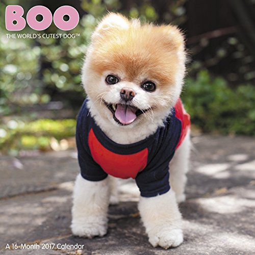 Boo Wall Calendar (2017)