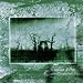 Anklicken zum Vergrößeren: Raison d'Être - Prospectus I (Audio CD)