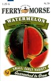Ferry-Morse 1419 Watermelon Seeds, Sugar Baby (1.25 Gram Packet)