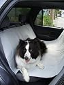 Pet Seat Cover - Hammock Style Universal Rear Seat Cover For Dogs 50% OFF!